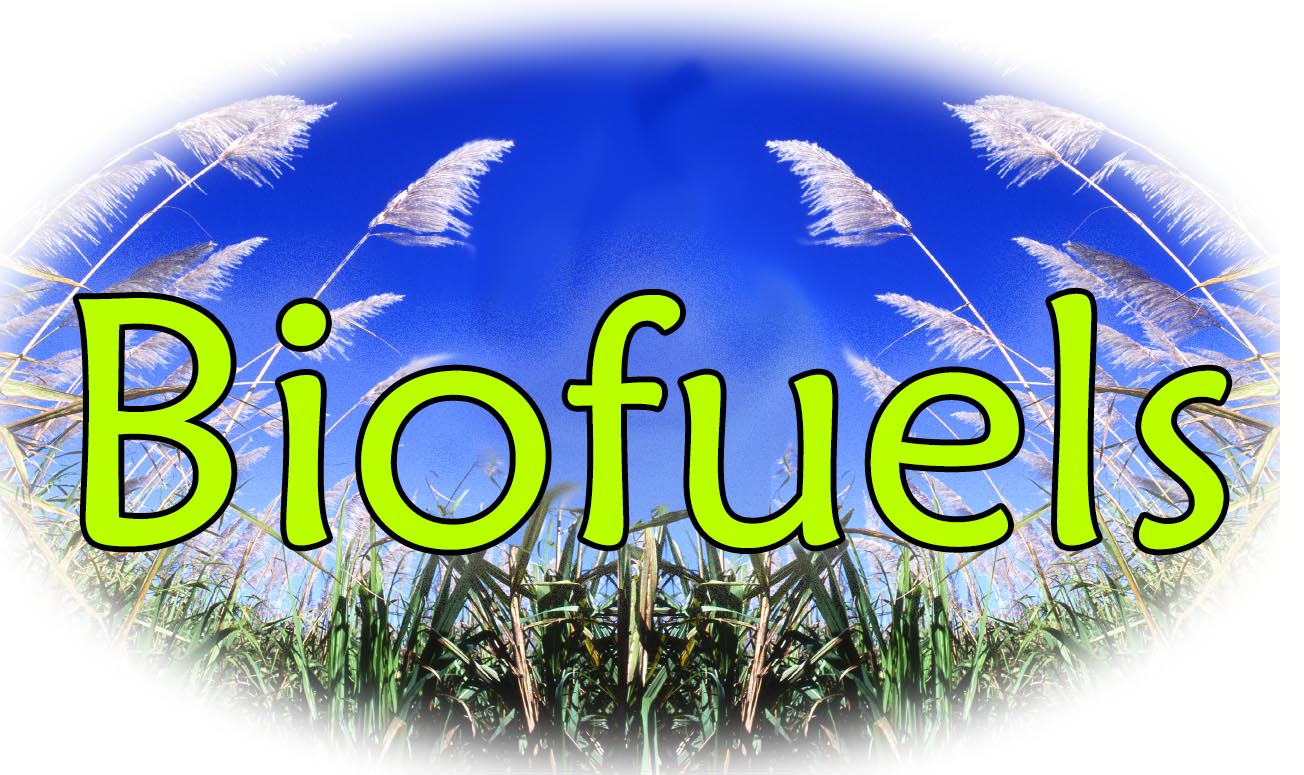 Study: Biofuels Increase, Rather Than Decrease, Heat ...