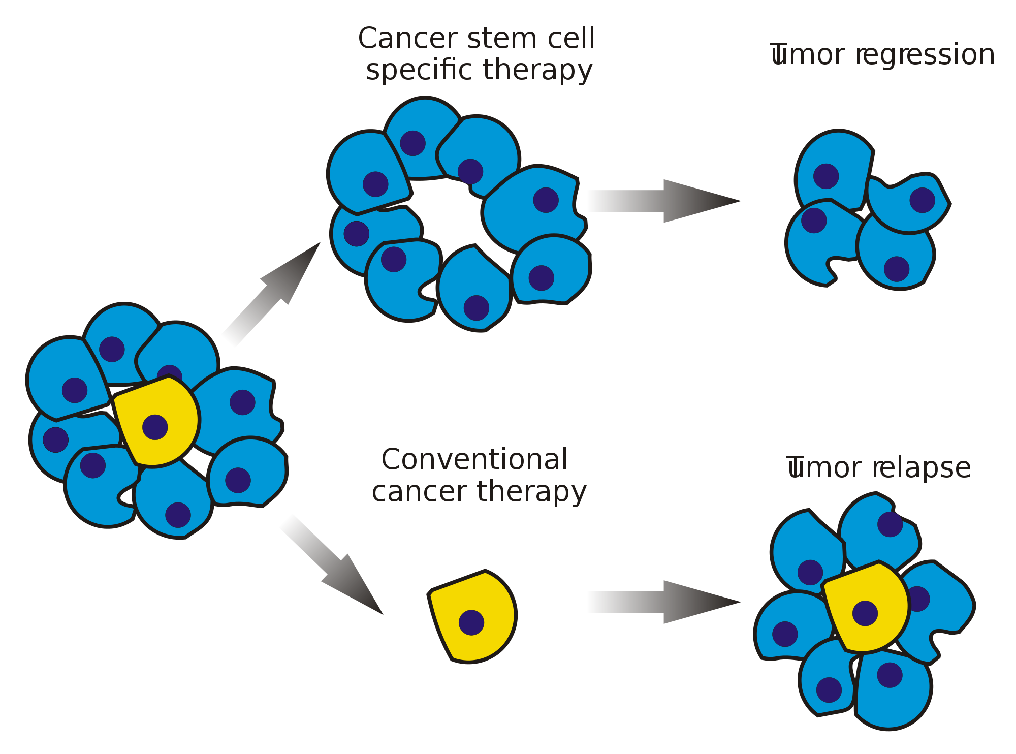 research for cancer cell