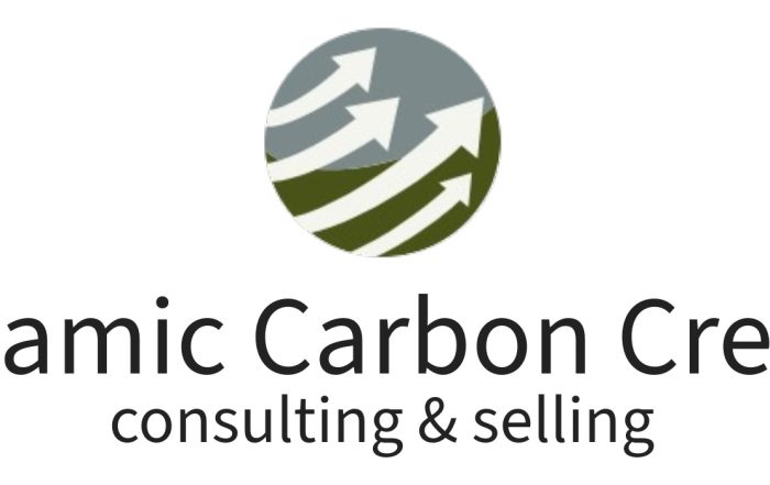 Dynamic_Carbon_Credits Mitigate Climate Change Through Carbon Sequestration