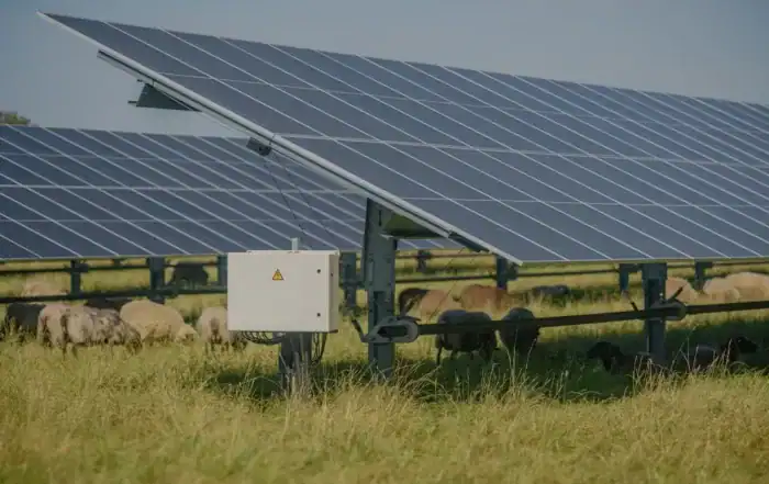 Experts Uncover Game-Changer Side Effects Of Solar Farms