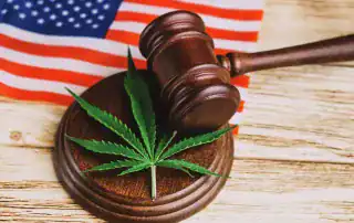 Judge Allows Michigan’s 24% Cannabis Wholesale Tax to Take Effect; Industry Warns of Major Economic Fallout